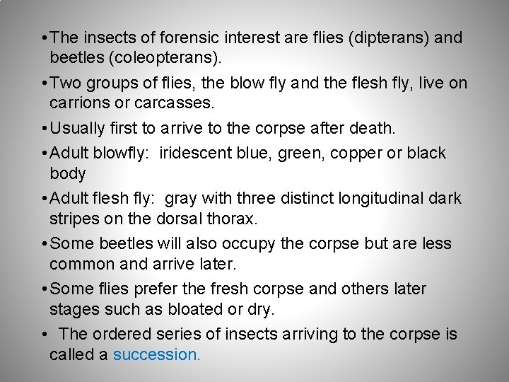  • The insects of forensic interest are flies (dipterans) and beetles (coleopterans). •