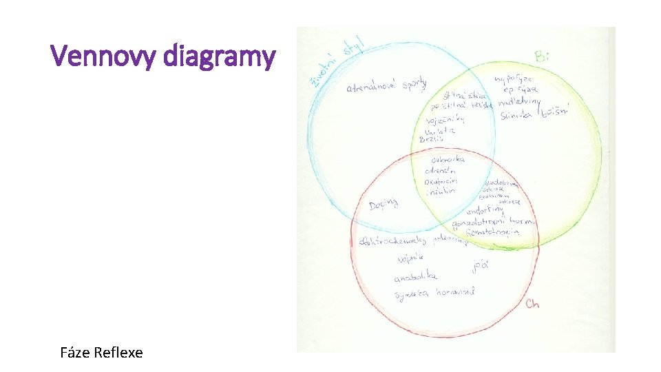 Vennovy diagramy Fáze Reflexe 