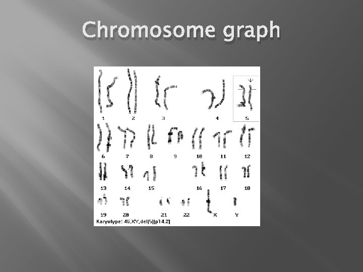 Chromosome graph 
