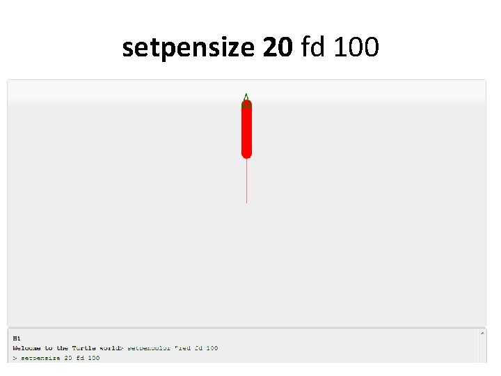 setpensize 20 fd 100 