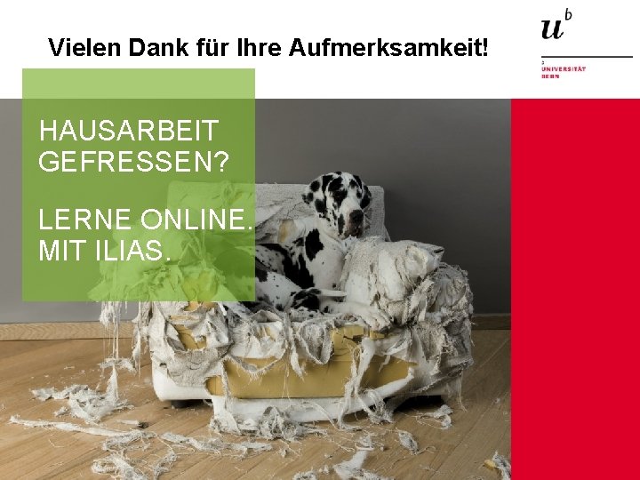 Vielen Dank für Ihre Aufmerksamkeit! HAUSARBEIT GEFRESSEN? LERNE ONLINE. MIT ILIAS. 