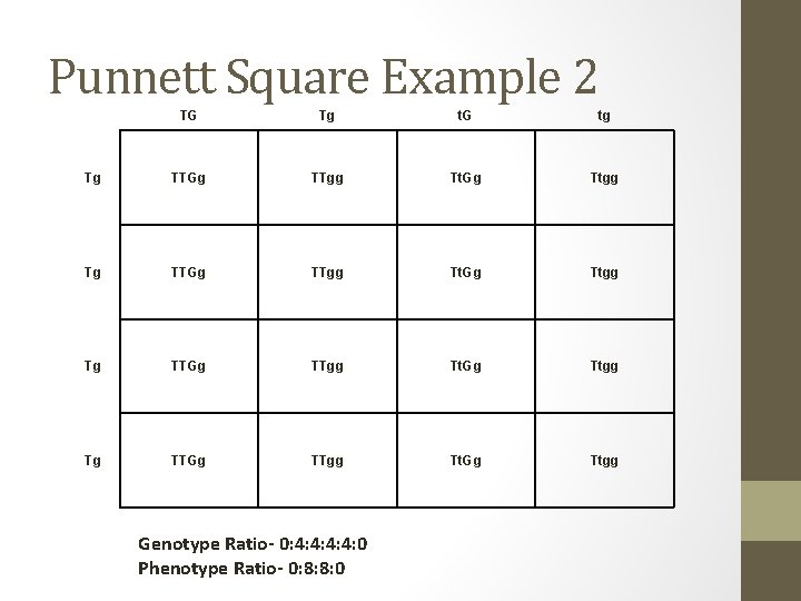 Punnett Square Example 2 TG Tg t. G tg Tg TTGg TTgg Tt. Gg
