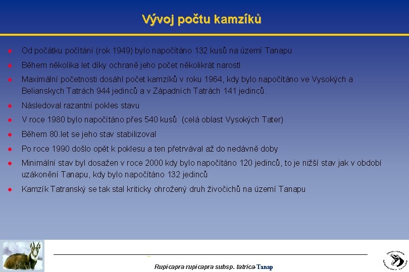 Vývoj počtu kamzíků l Od počátku počítání (rok 1949) bylo napočítáno 132 kusů na