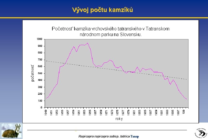 Vývoj počtu kamzíků Rupicapra rupicapra subsp. tatrica-Tanap 