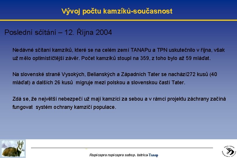 Vývoj počtu kamzíků-současnost Poslední sčítání – 12. Října 2004 Nedávné sčítaní kamzíků, které se