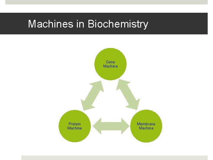 Machines in Biochemistry Gene Machine Protein Machine Membrane Machine 