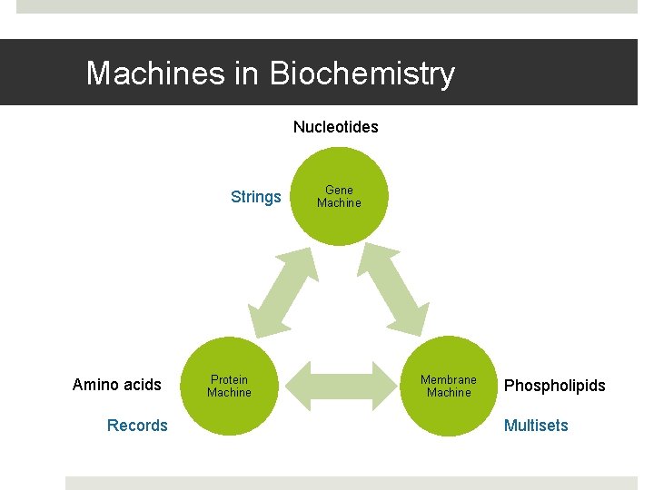Machines in Biochemistry Nucleotides Strings Amino acids Records Protein Machine Gene Machine Membrane Machine