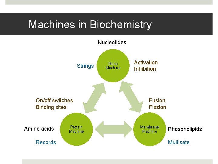 Machines in Biochemistry Nucleotides Strings On/off switches Binding sites Amino acids Records Protein Machine