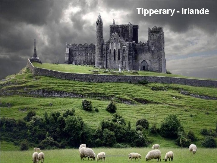 Tipperary - Irlande www. vitanoblepowerpoints. net 