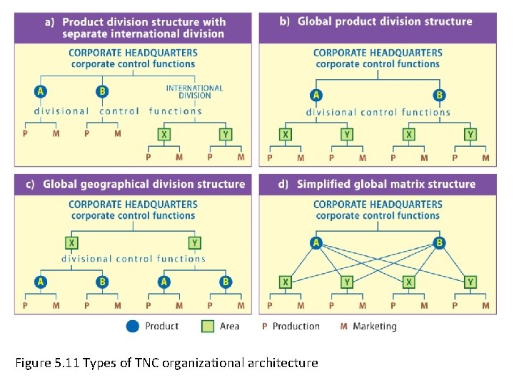 Figure 5. 11 Types of TNC organizational architecture 