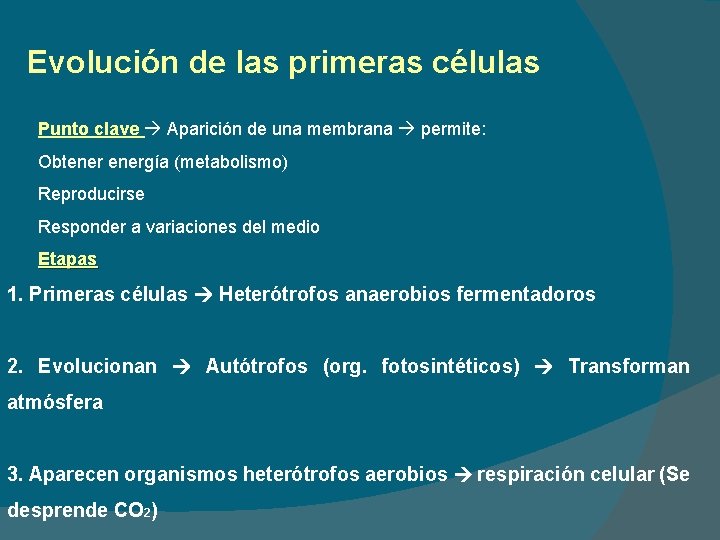 Evolución de las primeras células Punto clave Aparición de una membrana permite: Obtenergía (metabolismo)