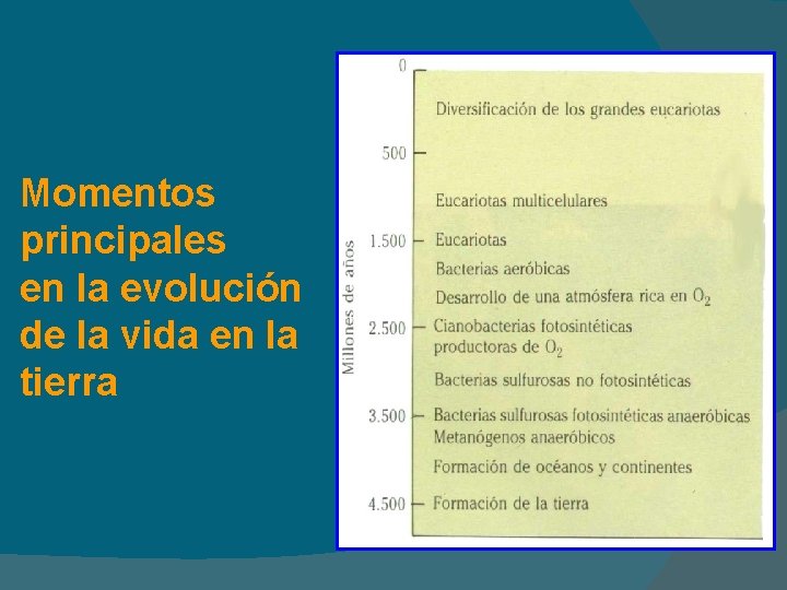 Momentos principales en la evolución de la vida en la tierra 