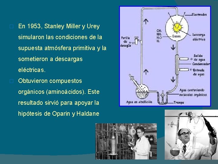 � En 1953, Stanley Miller y Urey simularon las condiciones de la supuesta atmósfera