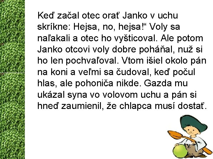 Keď začal otec orať Janko v uchu skríkne: Hejsa, no, hejsa!“ Voly sa naľakali