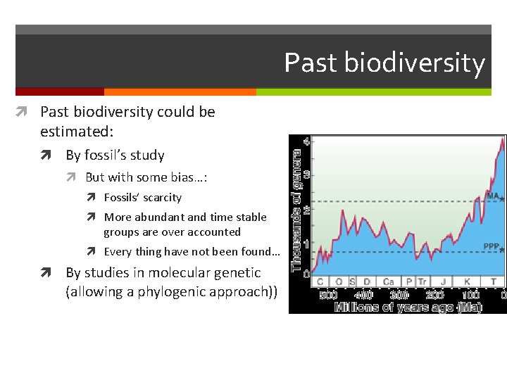 Past biodiversity could be estimated: By fossil’s study But with some bias…: Fossils’ scarcity