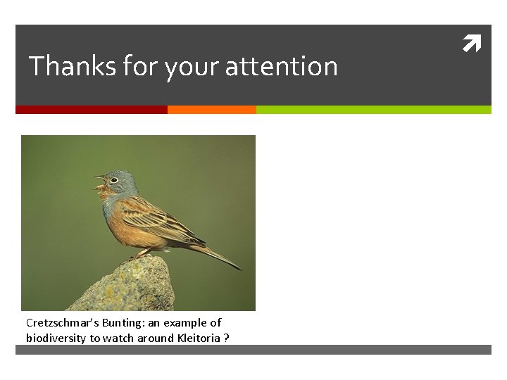 Thanks for your attention Cretzschmar’s Bunting: an example of biodiversity to watch around Kleitoria