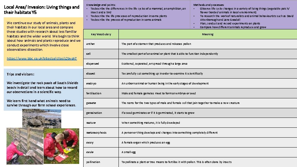 Local Area/ Invasion: Living things and their habitats Y 5 We continue our study