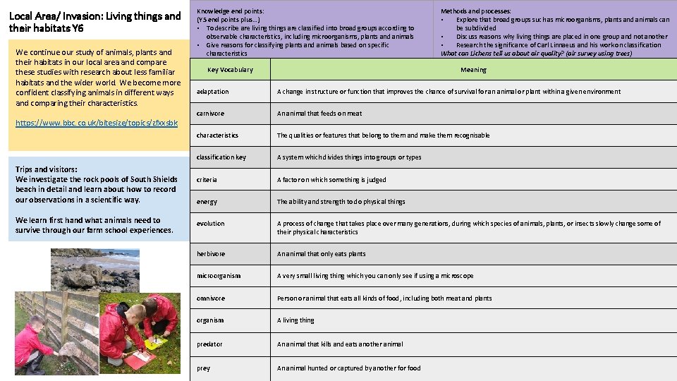 Local Area/ Invasion: Living things and their habitats Y 6 We continue our study