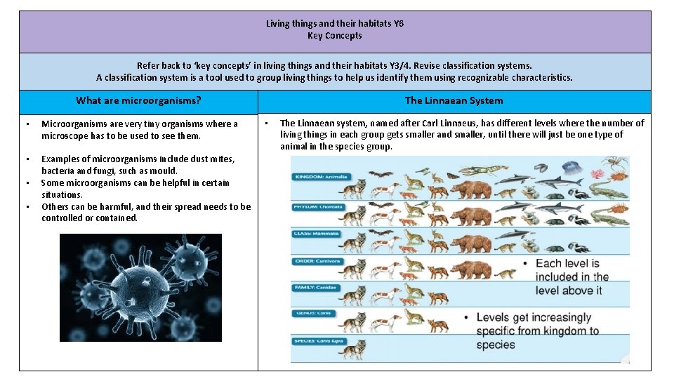 Living things and their habitats Y 6 Key Concepts Refer back to ‘key concepts’