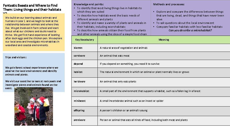 Fantastic Beasts and Where to Find Them: Living things and their habitats Y 2