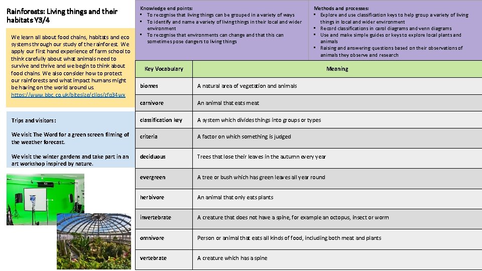 Rainforests: Living things and their habitats Y 3/4 We learn all about food chains,