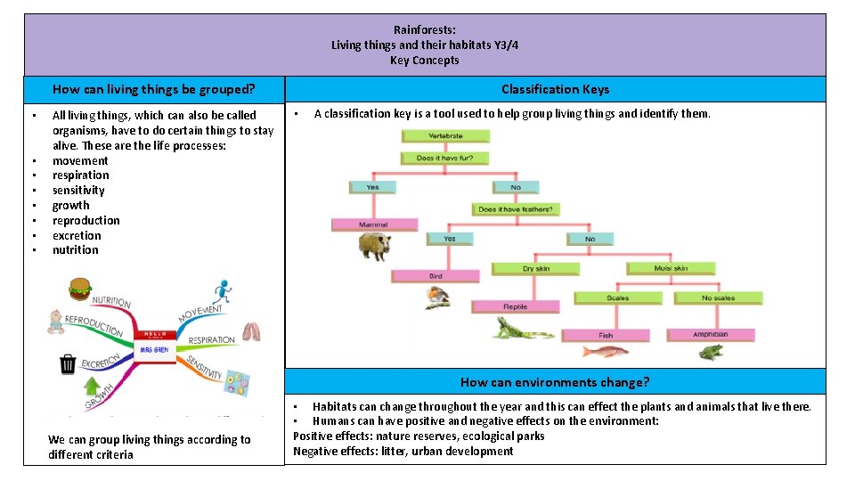 Rainforests: Living things and their habitats Y 3/4 Key Concepts Classification Keys How can