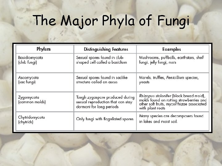 The Major Phyla of Fungi 