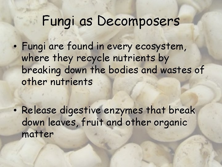 Fungi as Decomposers • Fungi are found in every ecosystem, where they recycle nutrients
