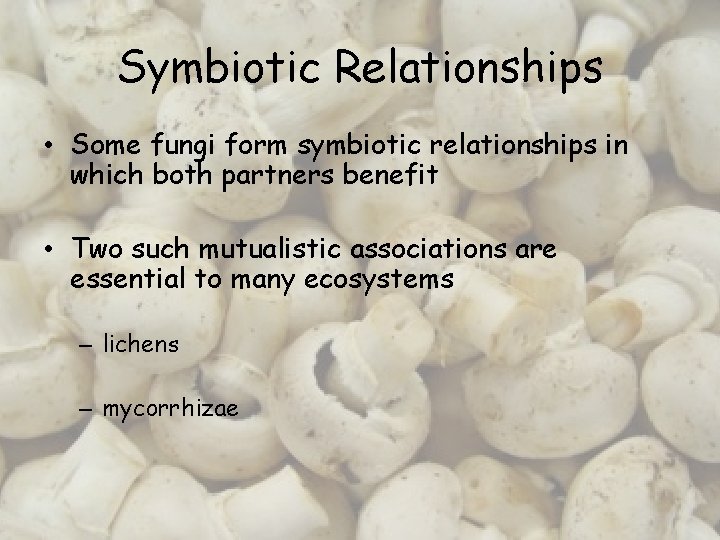 Symbiotic Relationships • Some fungi form symbiotic relationships in which both partners benefit •