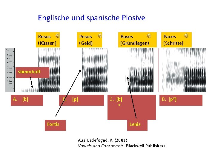 Englische und spanische Plosive Besos (Küssen) Pesos (Geld) Bases (Gründlagen) Paces (Schritte) stimmhaft A.