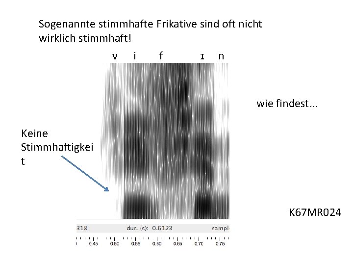 Sogenannte stimmhafte Frikative sind oft nicht wirklich stimmhaft! v i f ɪ n wie