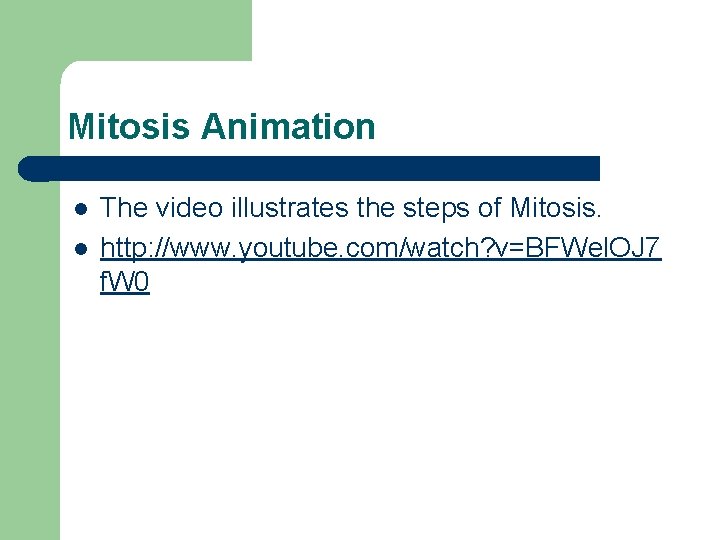 Mitosis Animation l l The video illustrates the steps of Mitosis. http: //www. youtube.