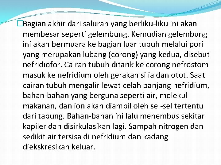 �Bagian akhir dari saluran yang berliku-liku ini akan membesar seperti gelembung. Kemudian gelembung ini