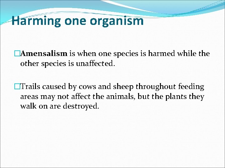 Harming one organism �Amensalism is when one species is harmed while the other species