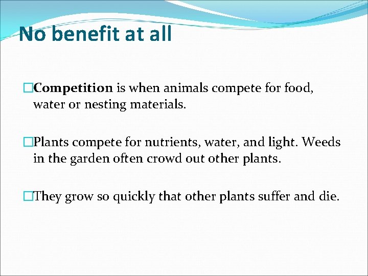 No benefit at all �Competition is when animals compete for food, water or nesting