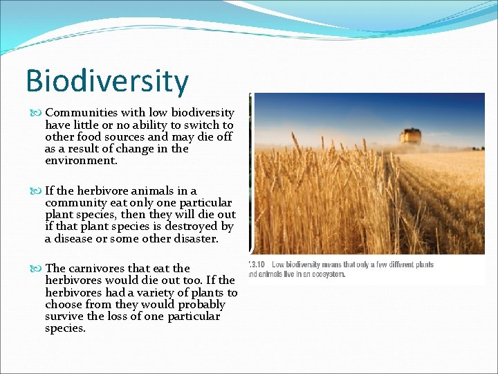 Biodiversity Communities with low biodiversity have little or no ability to switch to other