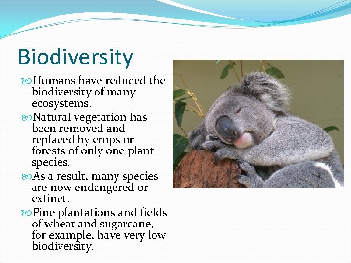 Biodiversity Humans have reduced the biodiversity of many ecosystems. Natural vegetation has been removed
