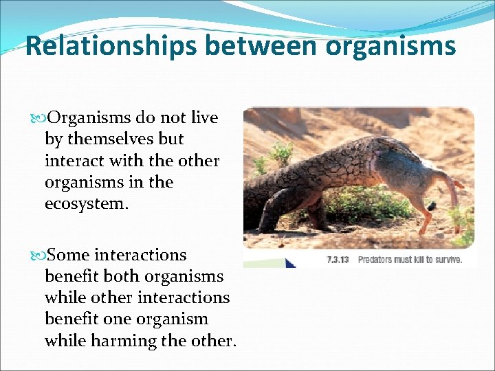 Relationships between organisms Organisms do not live by themselves but interact with the other