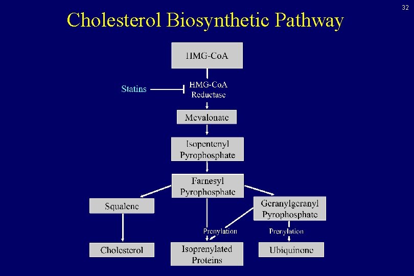 Cholesterol Biosynthetic Pathway 32 Cholesterol Biosynthetic Pathway 32