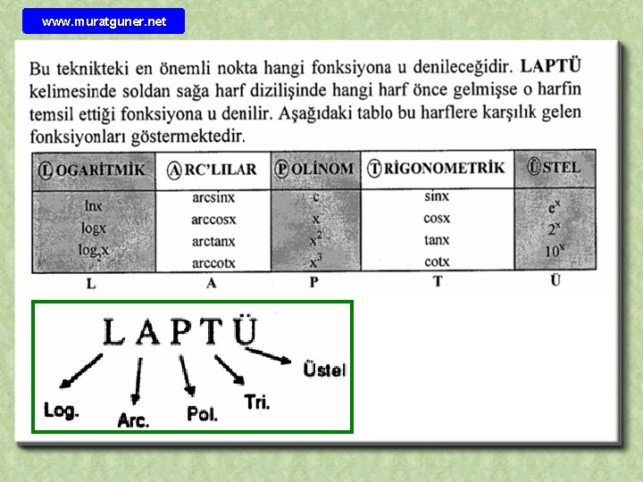 www. muratguner. net 