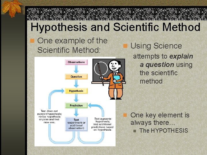 Hypothesis and Scientific Method n One example of the Scientific Method: n Using Science