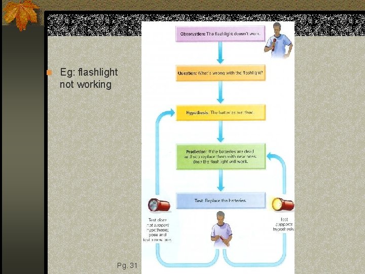 n Eg: flashlight not working Pg. 31 