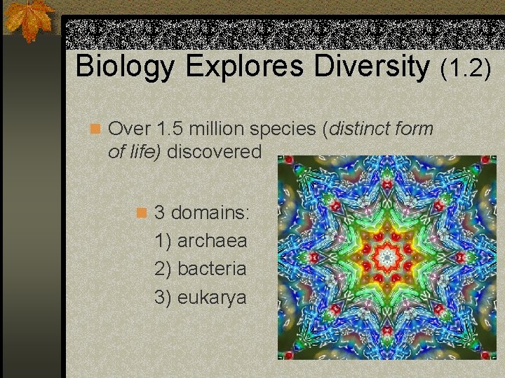 Biology Explores Diversity (1. 2) n Over 1. 5 million species (distinct form of