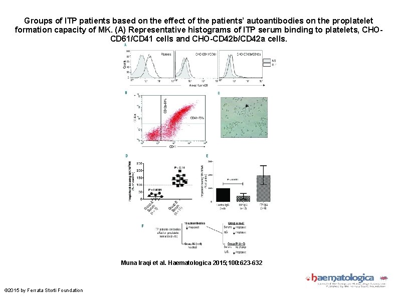 Groups of ITP patients based on the effect of the patients’ autoantibodies on the