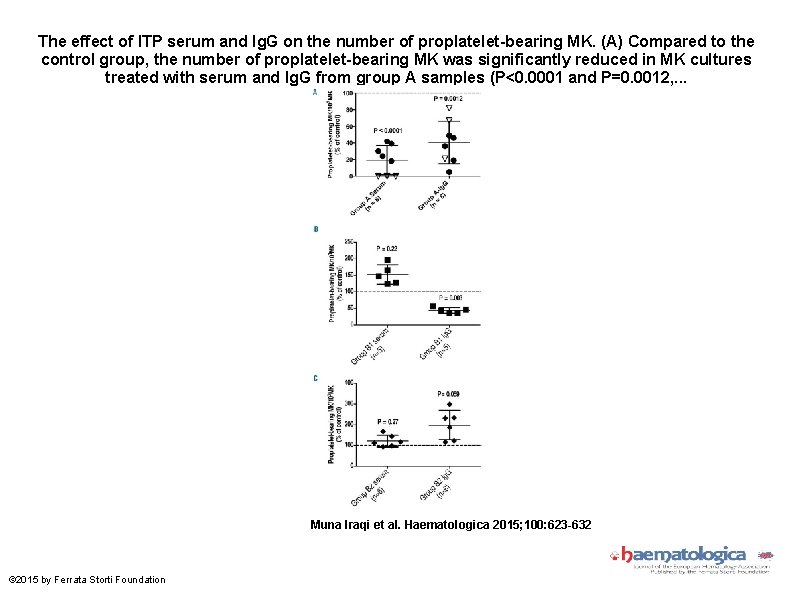 The effect of ITP serum and Ig. G on the number of proplatelet-bearing MK.