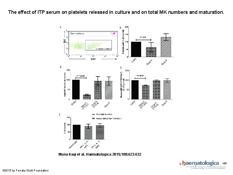 The effect of ITP serum on platelets released in culture and on total MK