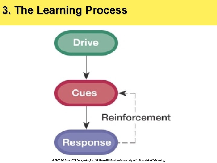 3. The Learning Process © 2003 Mc. Graw-Hill Companies, Inc. , Mc. Graw-Hill/Irwin—for use