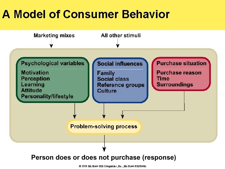 A Model of Consumer Behavior © 2003 Mc. Graw-Hill Companies, Inc. , Mc. Graw-Hill/Irwin