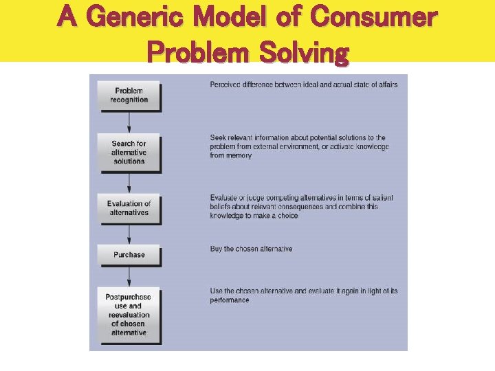 A Generic Model of Consumer Problem Solving 