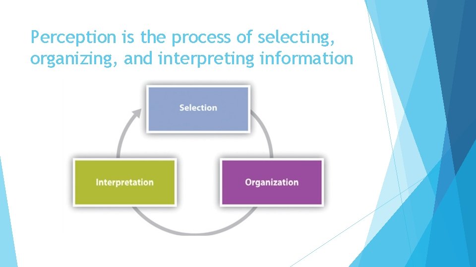 Perception is the process of selecting, organizing, and interpreting information 